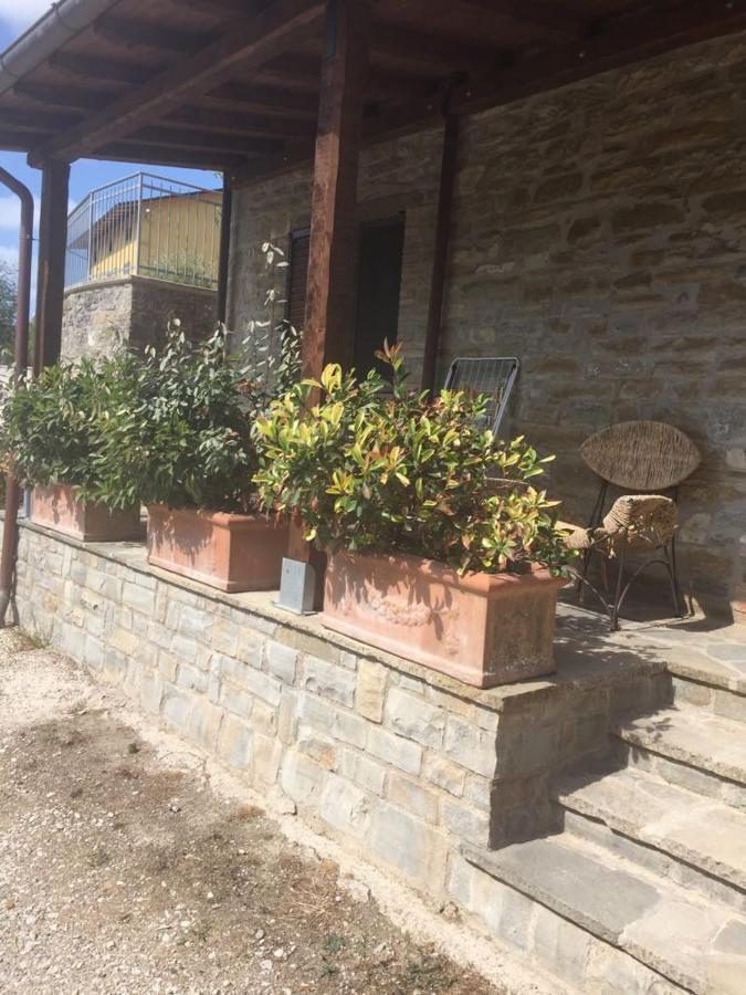 Agriturismo Cailuca Pietralunga  Exterior photo