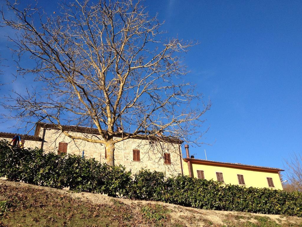 Agriturismo Cailuca Pietralunga  Exterior photo